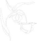 Arboretum Logo